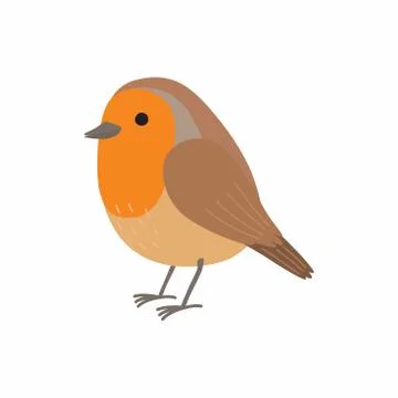 Robin bird. Vector illustration isolated on white background. Stock Illustration