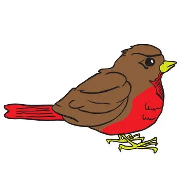Robin Stock Illustration