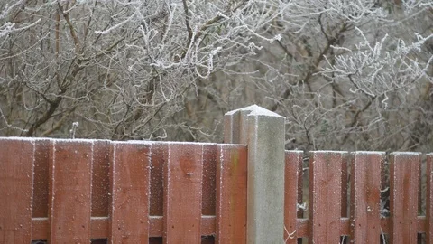 Robin Red Breast landing on a post and perching for a few seconds Stock Footage 102195755
