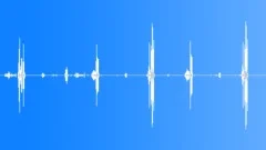 Robin Song Webbers Post Sound Effect