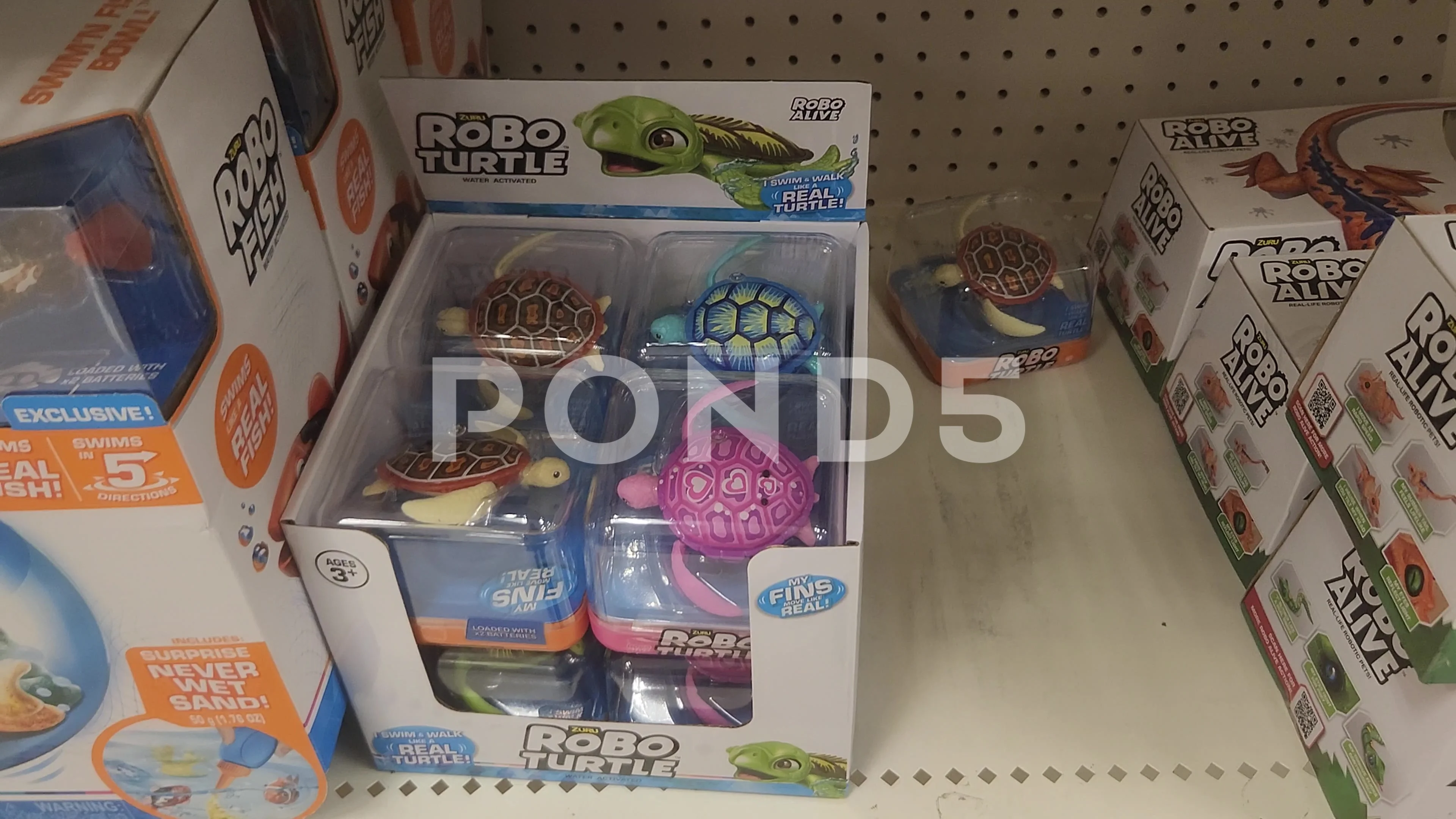 Robo Turtle Retailer Toy, Stock Video