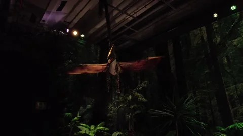 Robot Animatronics Flying Pterodactyl Dinosaur In The Air Moving Wings Stock Footage 259960450