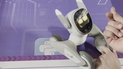 A robot is being controlled by a person's hand Stock Footage 283484675