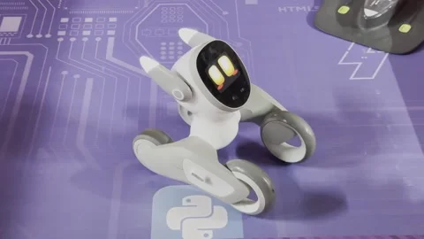 A robot is being held by a person and is on a purple surface Stock Footage 283484830