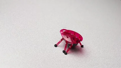 Robot Bug Stock Footage