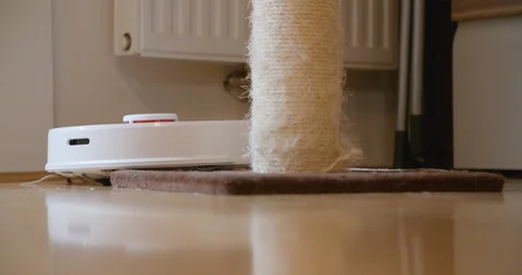 Robot cleaner cleans the room. Stock Footage 124181795