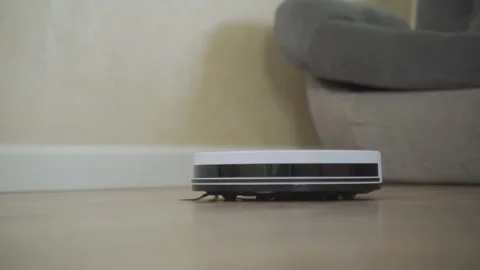 Robot cleaner cleans the room. Smart home. Robot vacuum cleaner performs Stockbeeldmateriaal 134910542