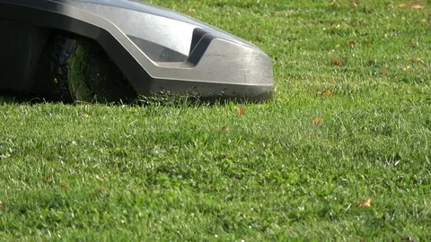 Robot cut grass - modern robotic lawn mower at work 스톡 동영상 120669419