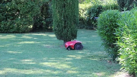 Robot cutting the lawn Stock Footage 77919280