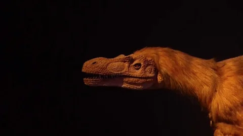 Robot dinosaur - velociraptor Stock Footage 81518016