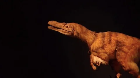 Robot dinosaur - velociraptor Stock Footage 81518042