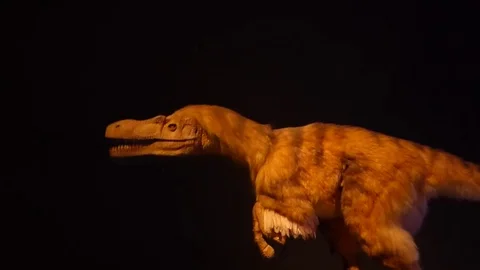 Robot dinosaur - velociraptor Stock Footage 81518060