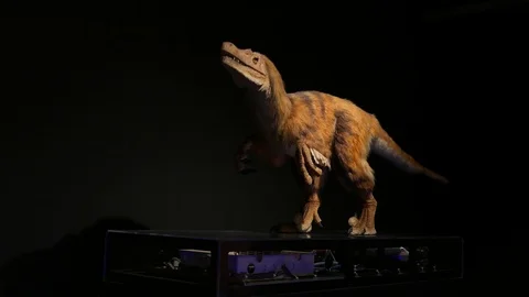 Robot Dinosaurs Moving head Stock Footage 94956405