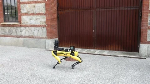 Robot dog 01 Stock Footage 162167215