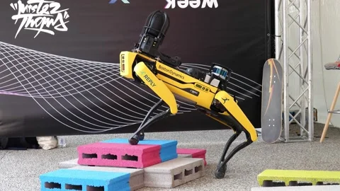 Robot dog 02 Stock Footage 162167349