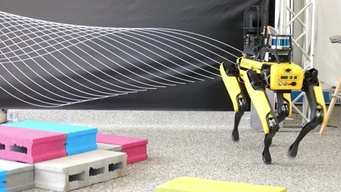 Robot dog 03 Stock Footage 162167329