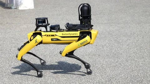 Robot dog 04 Stock Footage 162167198