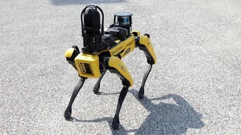 Robot dog 05 Stock Footage 162166588