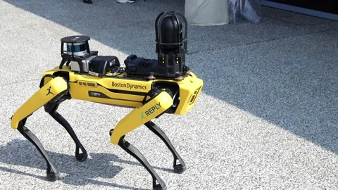 Robot dog 06 Stock Footage 162166829