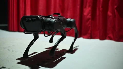 Robot dog comes close to the camera looks and leaves at the robotics exhibition Stock-Footage 229789157