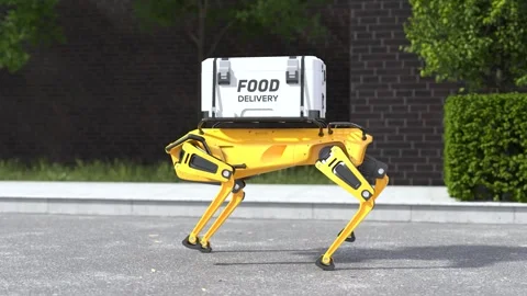Robot dog delivering goods, The robot dog is delivering food Видео 244969937