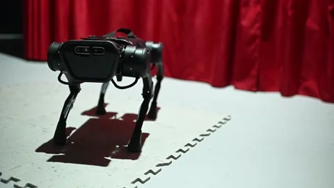 A robot dog that executes commands at a robotics exhibition. Stock-Footage 229729711