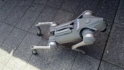 Robot dog Stock Footage 335877167