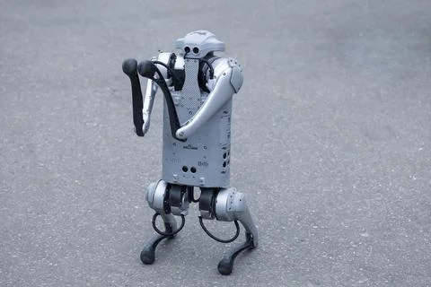 Robot dog presentation. Modern technologies. Stock Photos