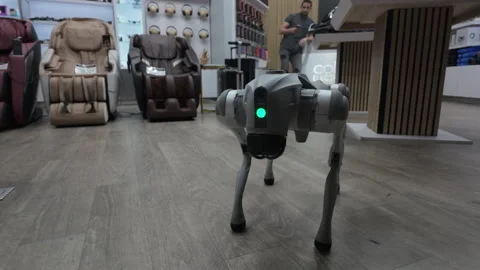 Robot dog showing its tricks in gadget store. Las Vegas, Nevada, USA. Stock Footage 281558311