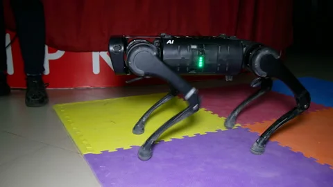 Robot dog shows commands. Stock Footage 197551637