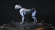 Robot Dog Stands On A Charging Dock Stock Footage