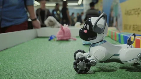A robot is a dog. A toy robot in the form of a puppy. Video stock 85926760