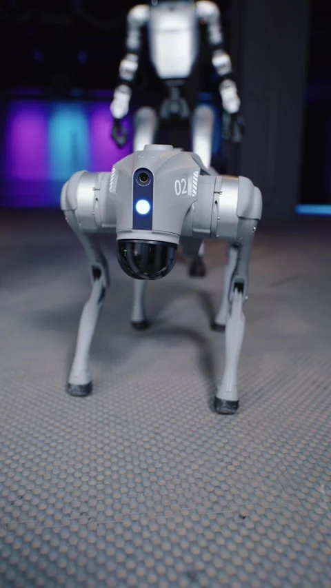 Robot dog walking backward and stretching in futuristic environment Video stock 324701485