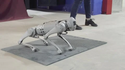 A robot dog is walking on a grey surface 스톡 동영상 279823361
