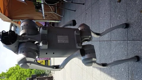 Robot dog walking outdoors - vertical real time Stock Footage 335876956
