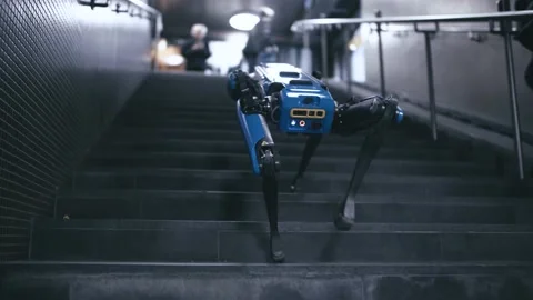 Robot dog walking in stairs Stock Footage