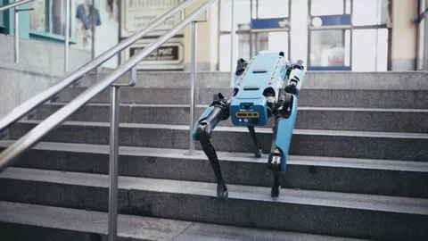 Robot dog walking in stairs Stock Footage 241994007