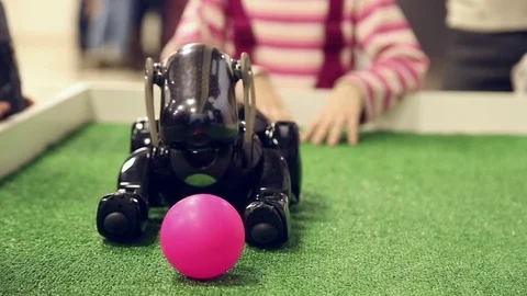 Robot dog walks on site Stock Footage 71480956
