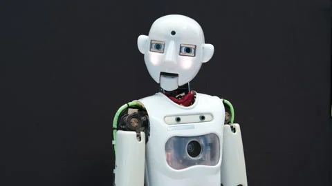 Robot engages with attendees at a technology expo Stock-Footage 315216650