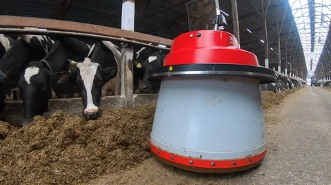 Robot farmers are programmed to work in a farm to feed animals. Stock Footage 126806678