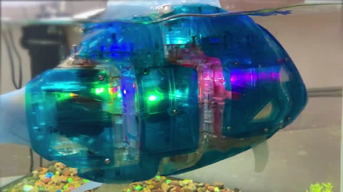 Robot fish swiming in the aquarium. Stock Footage 161069853