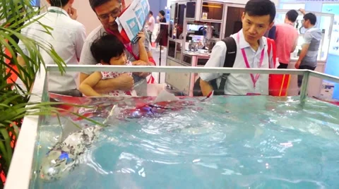 Robot fish, very realistic Stock Footage 65416121