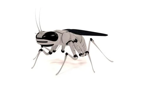 Robot. Insect robot. Cybernetics. 3d rendering mechanical fly Illustrazione stock