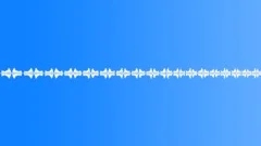 Robot Insects Sound Effect