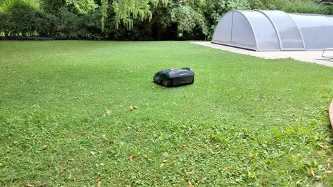 Robot lawn mower automatically mows the lawn in the yard, mowing the grass. Stock Footage 276705782