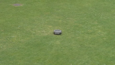A robot - lawn mower mowing grass in a field. Stock Footage 264879724
