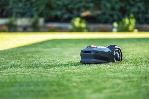 Robot Lawn Mower Operating on a Well-Manicured Lawn in Bright Daylight Foto stock
