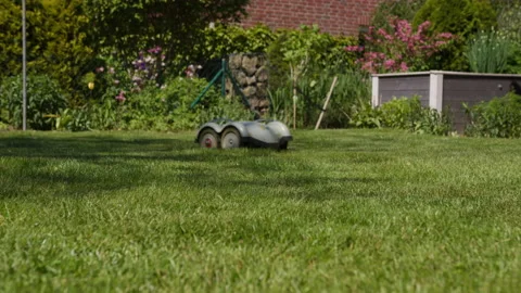 Robot lawn mower at work, 6k Stock Footage 156256068
