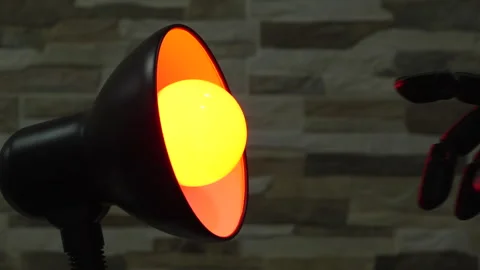 Robot or Prosthesis Hand Touching Glowing Smart Bulb in Desk Lamp Stock Footage 340047993