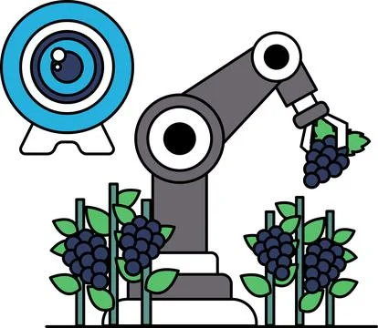 A robot is picking grapes from a vineyard Stock Illustration
